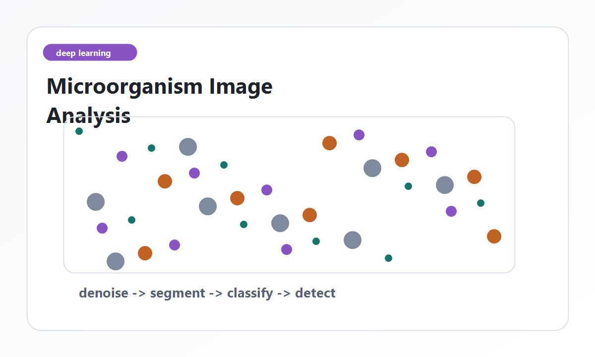 Microorganism image-analysis pipeline visual with segmented circular forms.